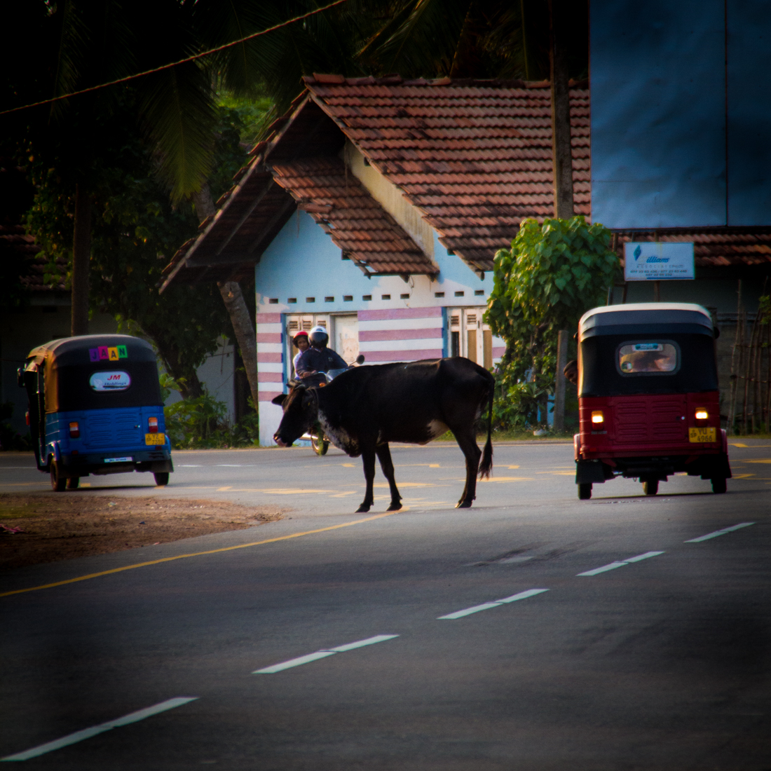 the-sidewalk-secrets-travel-blog-surf-sri-lanka-midigama-mirissa-surfing-sunset-2