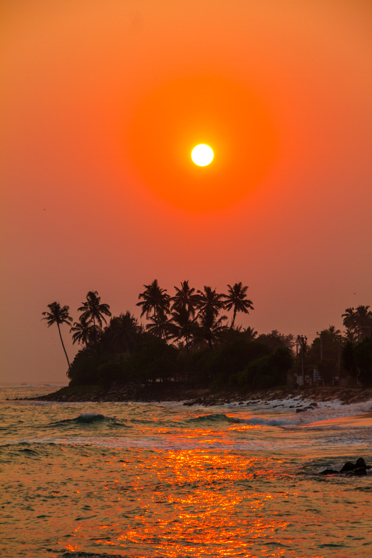 the-sidewalk-secrets-travel-blog-surf-sri-lanka-midigama-mirissa-surfing-sunset-8