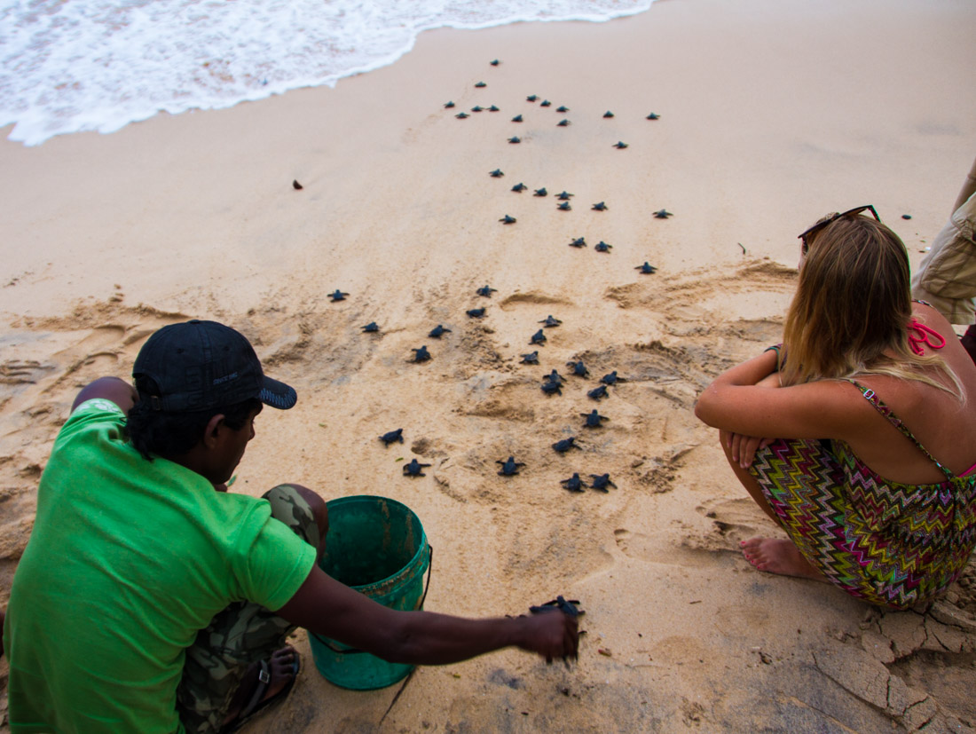 surf-bums-in-sri-lanka-living-the-dream-set-the-turtles-free-3