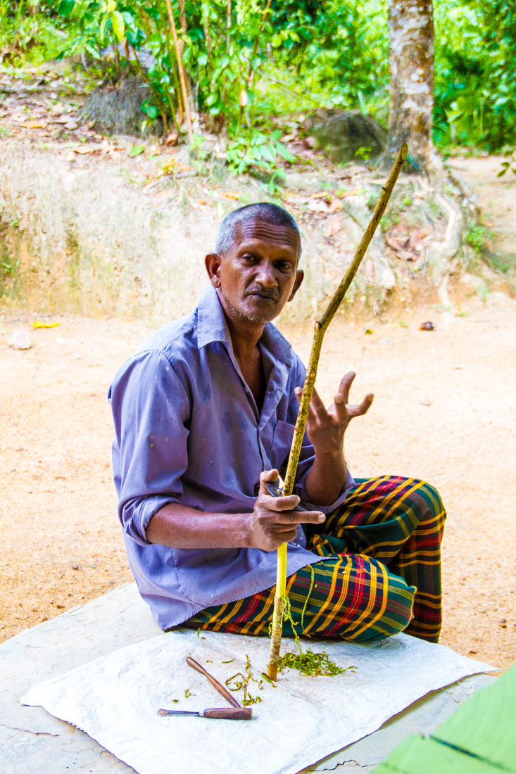 the-sidewalk-secrets-travel-blog-surf-sri-lanka-midigama-mirissa-surfing-sunset-1