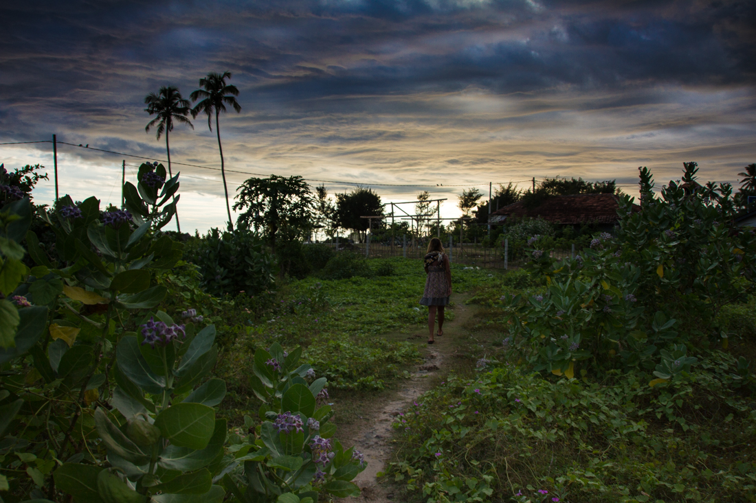 the-sidewalk-secrets-travel-blog-surf-sri-lanka-midigama-mirissa-surfing-sunset-1