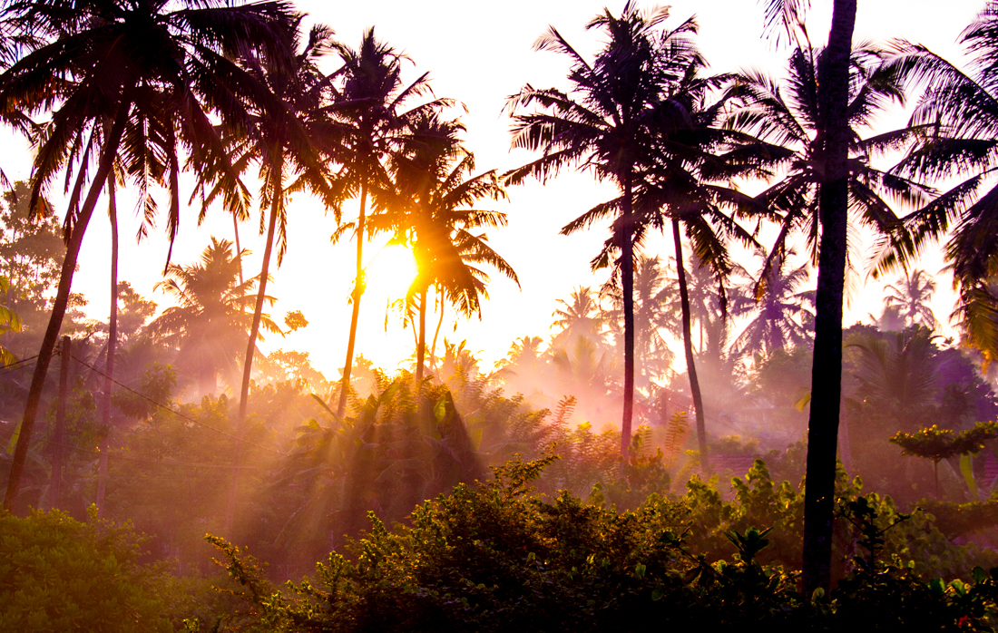 the-sidewalk-secrets-travel-blog-surf-sri-lanka-midigama-mirissa-surfing-sunset-2