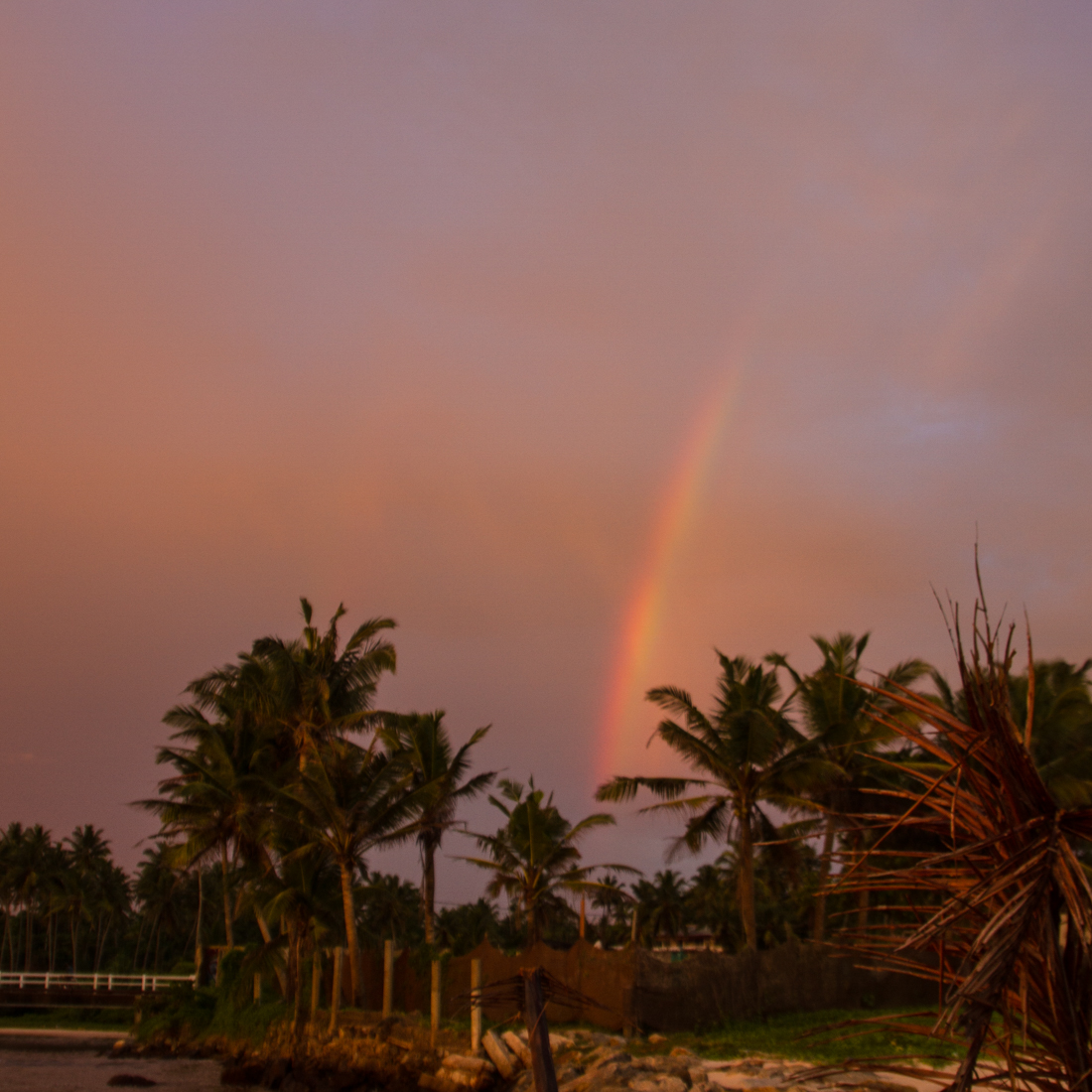 the-sidewalk-secrets-travel-blog-surf-sri-lanka-midigama-mirissa-surfing-sunset-4