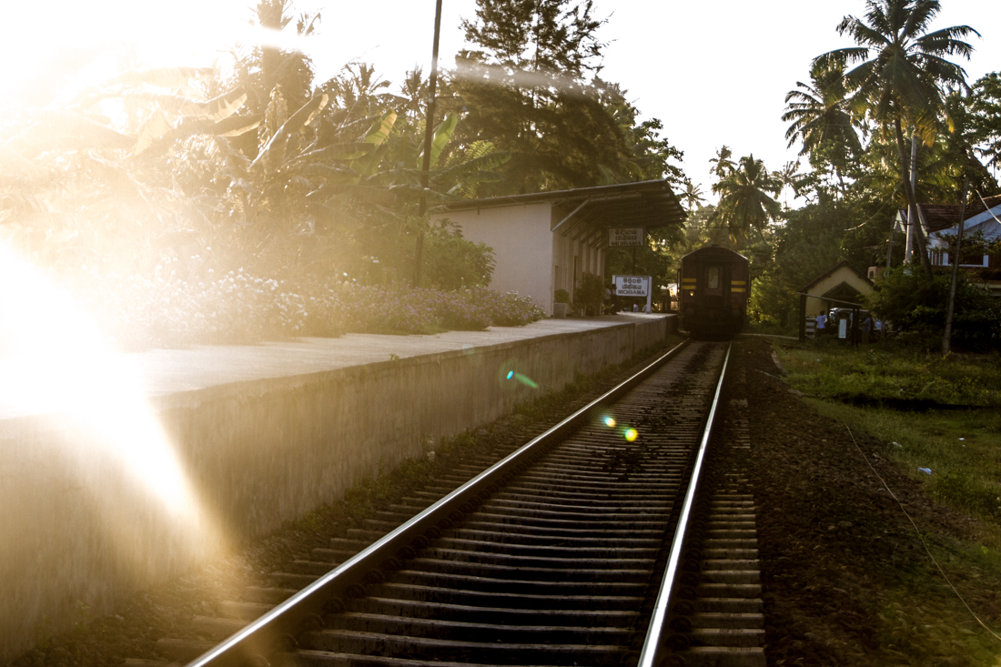 the-sidewalk-secrets-travel-blog-surf-sri-lanka-midigama-mirissa-surfing-sunset-7