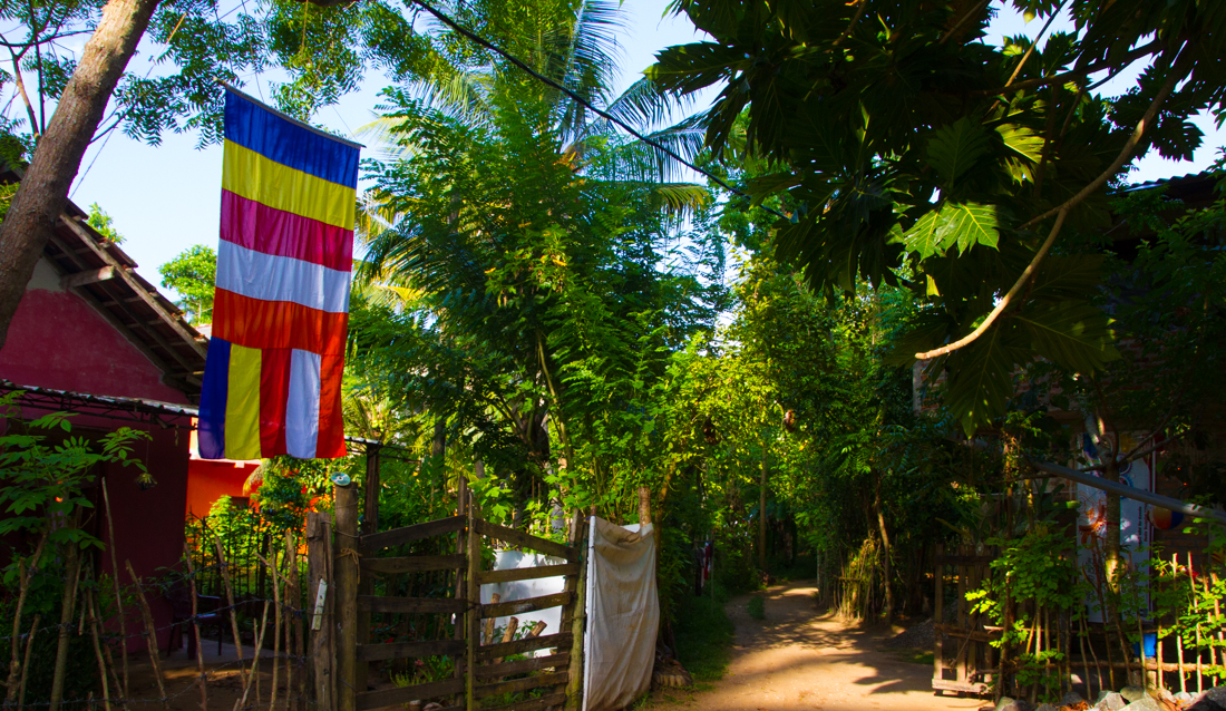 the-sidewalk-secrets-travel-blog-surf-sri-lanka-midigama-mirissa-surfing-sunset-1