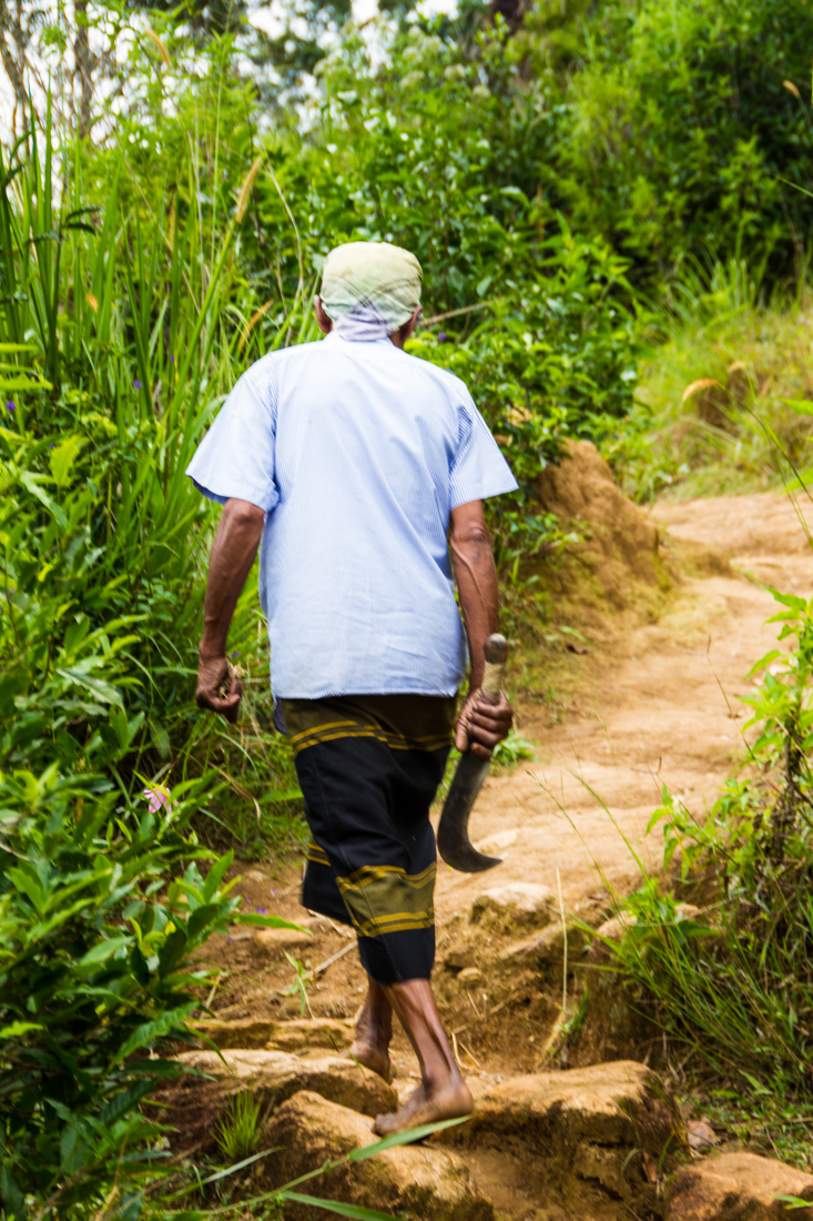 the-sidewalk-secrets-travel-blog-surf-sri-lanka-midigama-mirissa-surfing-sunset-9